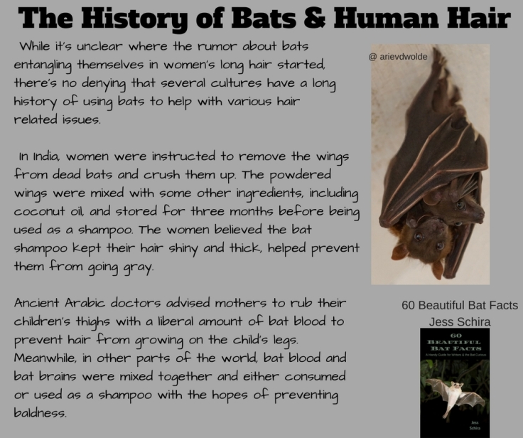 The Long History of Bats &amp; Human Hair (1)